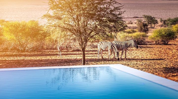 Bagatelle Kalahari Game Ranch