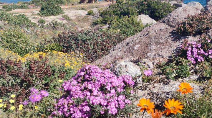 Paradise Beach Apartments Langebaan