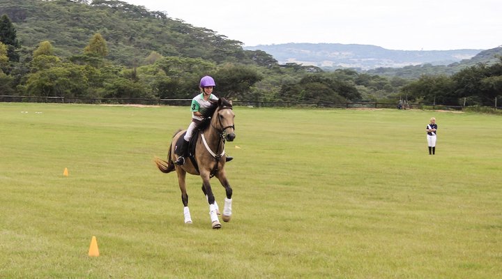 Bushman Rock Safaris