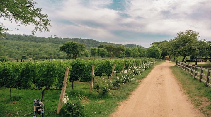 Bushman Rock Safaris