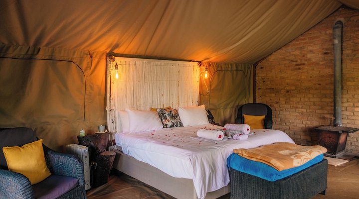 Bushman Rock Safaris