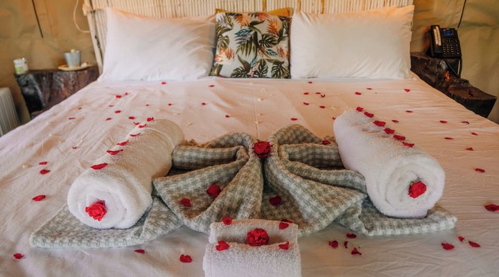 Bushman Rock Safaris