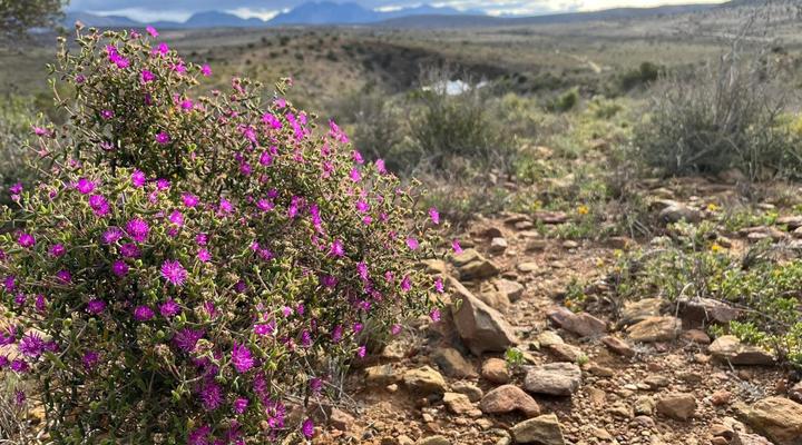 Shama Lodge & Adventure Centre