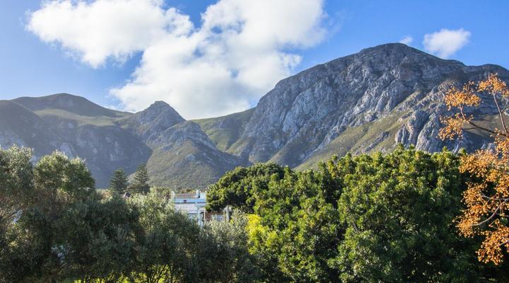 Lavender Manor Guest Lodge