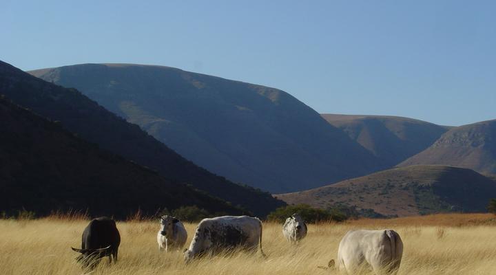 Waylands Country House