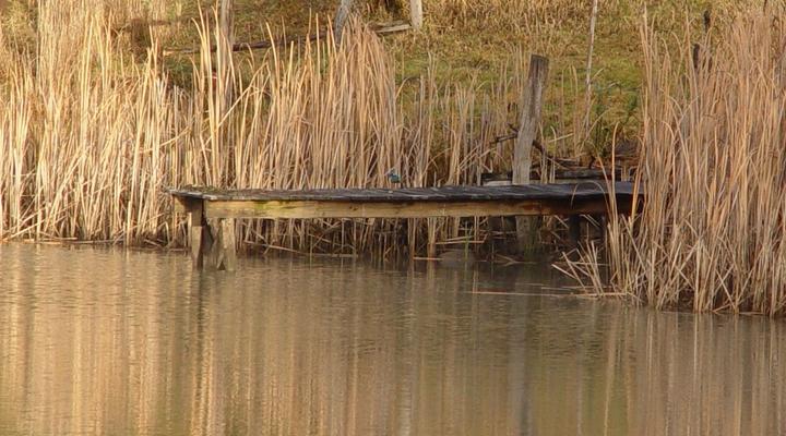 Waylands Country House