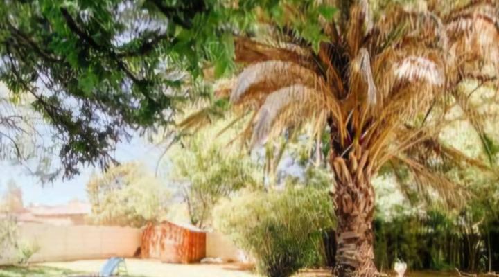 De Kaapse Rust Boutique Guesthouse & Venue