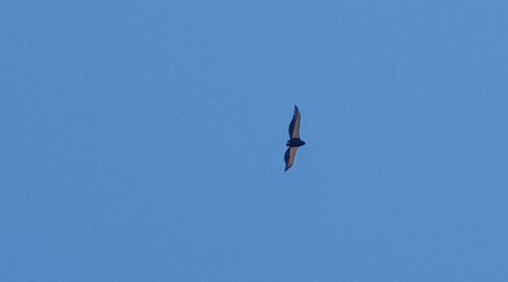 Lorato Lodge and Camping