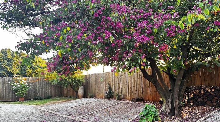 59 On True North Guest Rooms