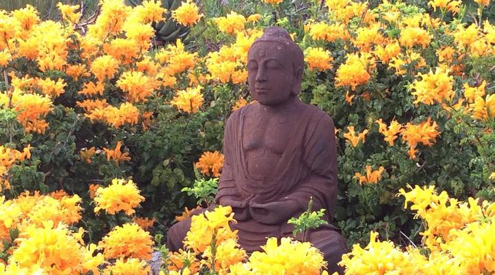 Apricot Gardens Boutique Guesthouse