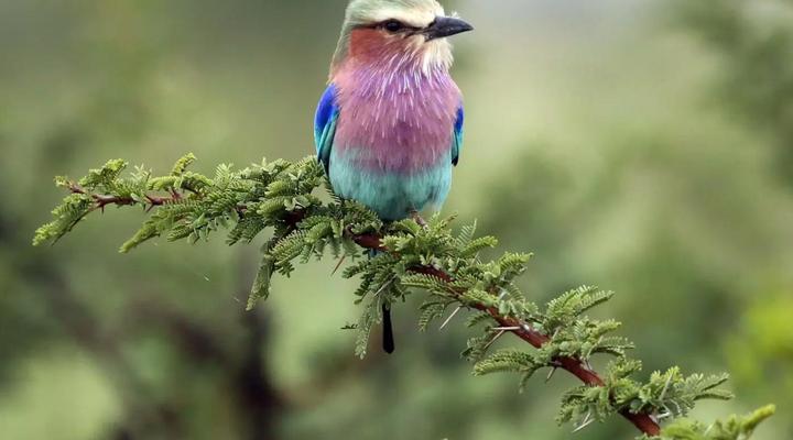 Hoedspruit Raptors Lodge No 16