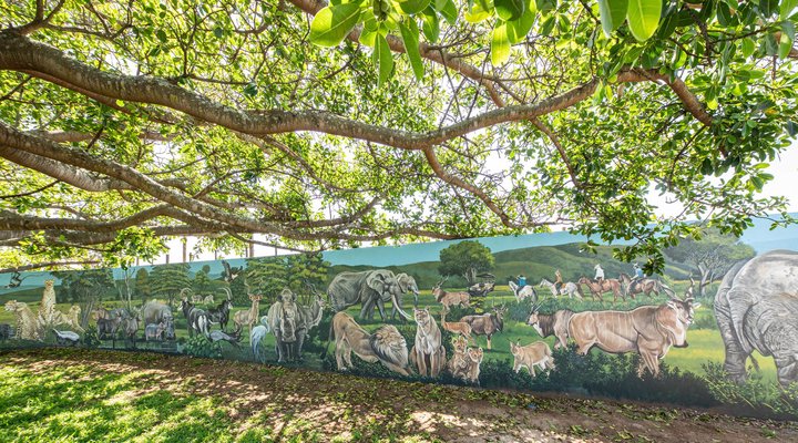 The Village @ Botlierskop