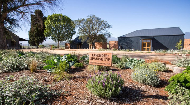 The Village @ Botlierskop