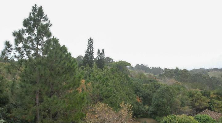 Zestees Bed & Breakfast