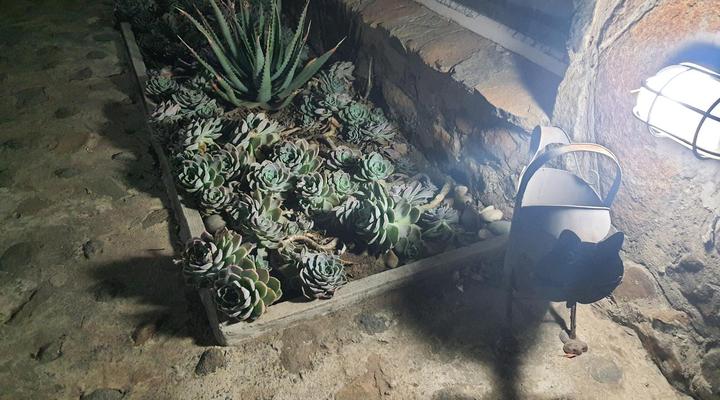 Gemsbok Cottage Bethlehem