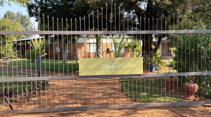 The Bushveld Jasmine