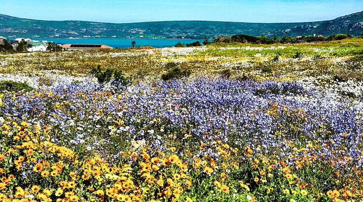 Kamen Cottage, Langebaan, 4-sleeper
