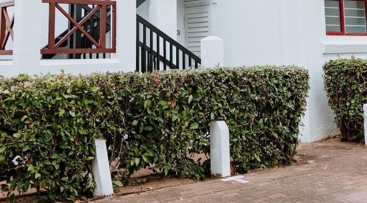 Pelicans Pad @ Ballito