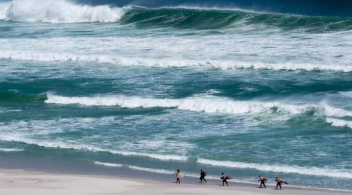 Whales & Wonders Guesthouse