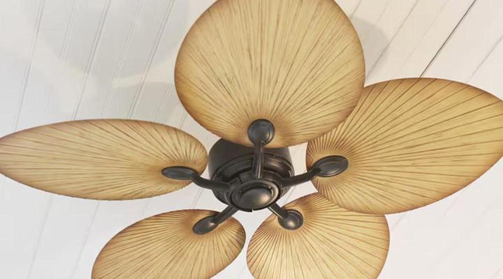 B's Cottage Swellendam