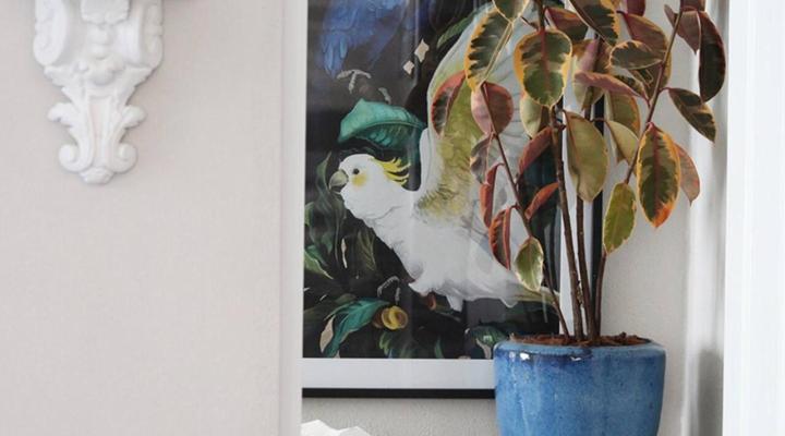 B's Cottage Swellendam