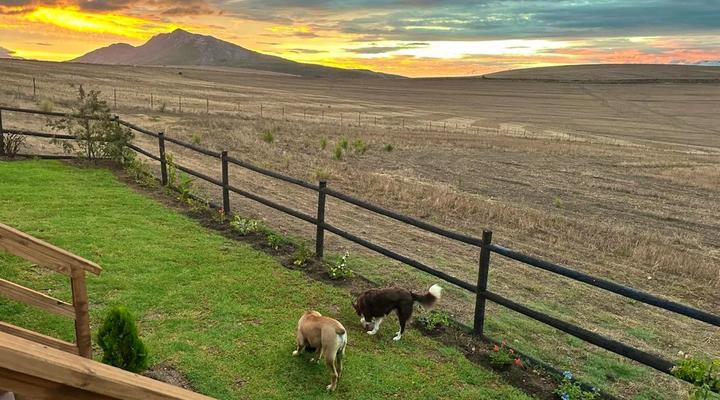 Rolling Hills Farmstead