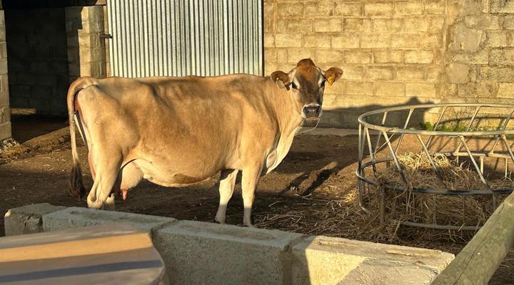 Rolling Hills Farmstead