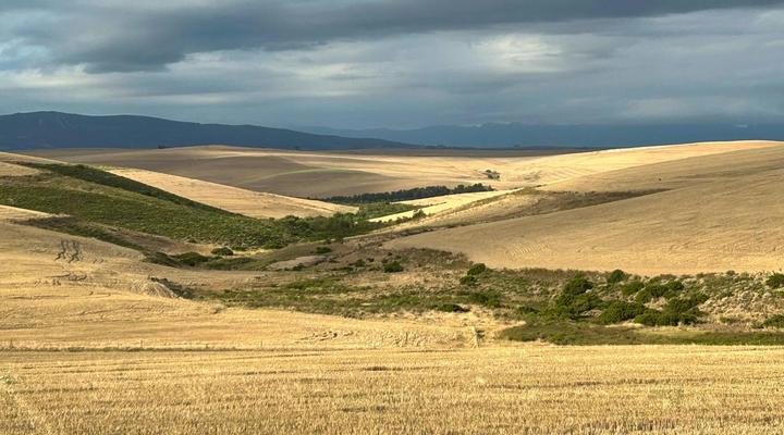 Rolling Hills Farmstead