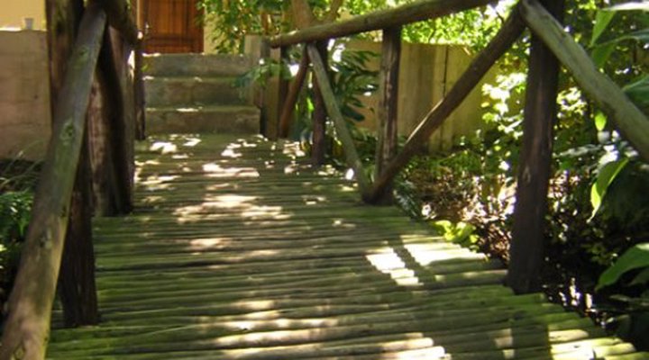 African Tree Lodge