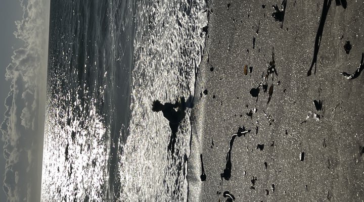 esCape Beach Cottage