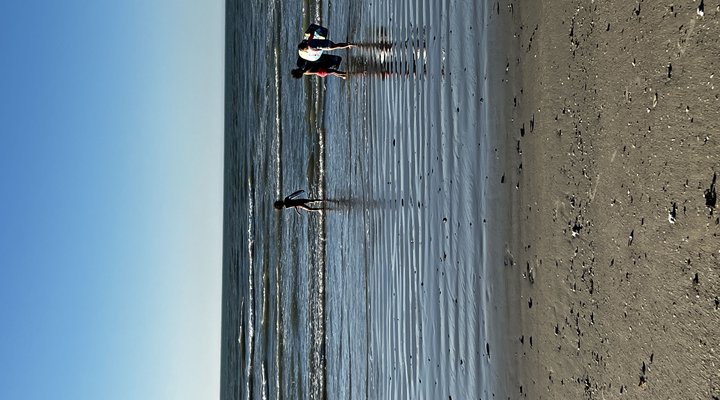 esCape Beach Cottage