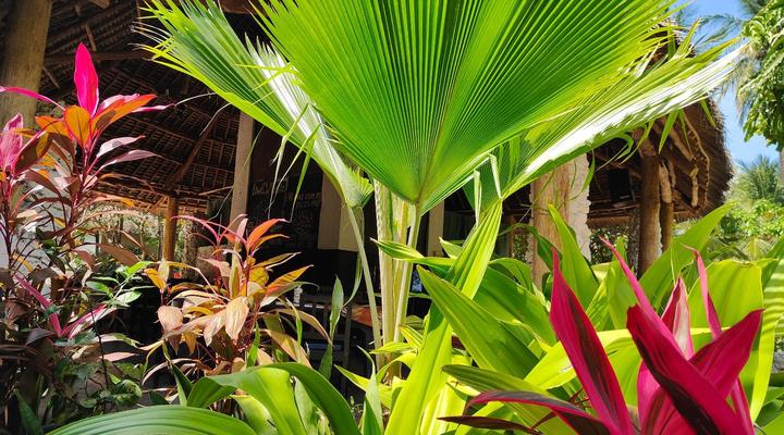 Paje by Night Bungalows