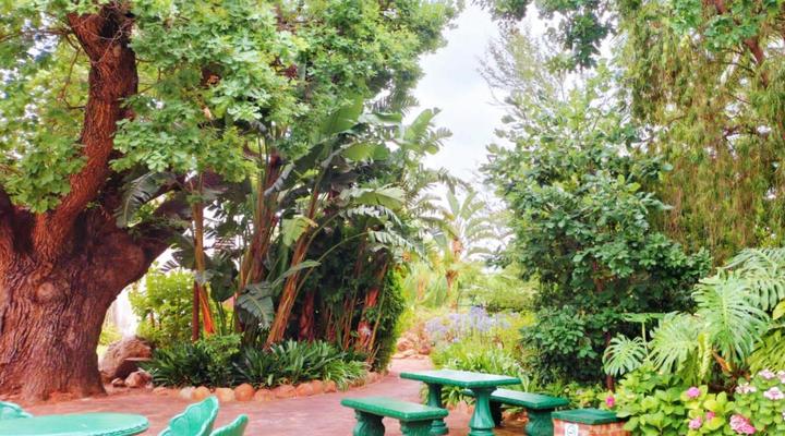 Green Olive Guesthouse