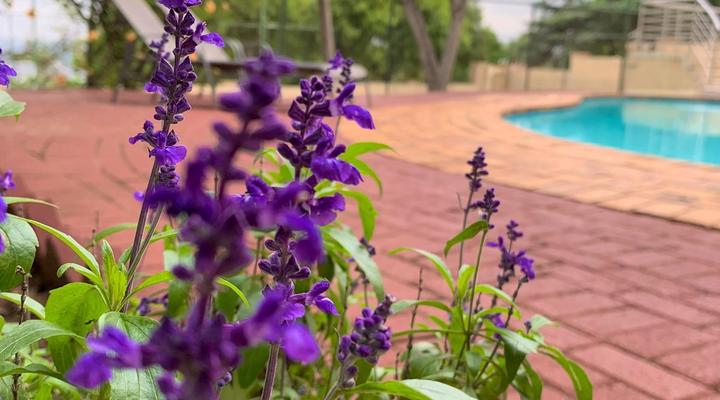 The Pillows Suites Villa