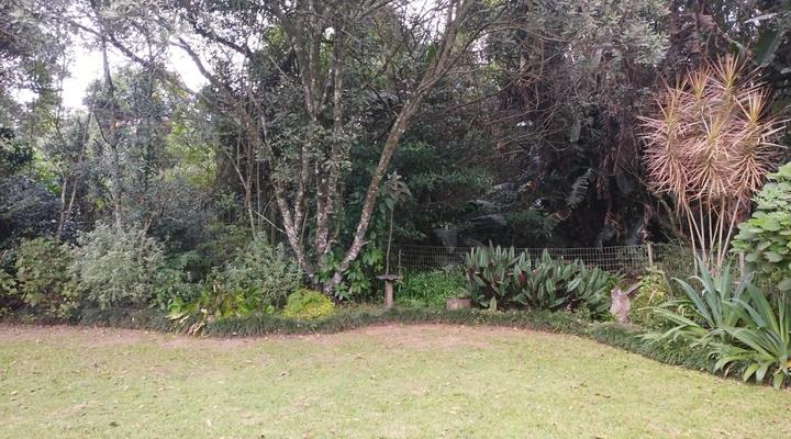 Dlinza Forest Accommodation