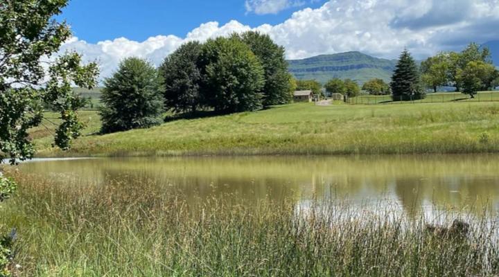 Champagne Valley Resort