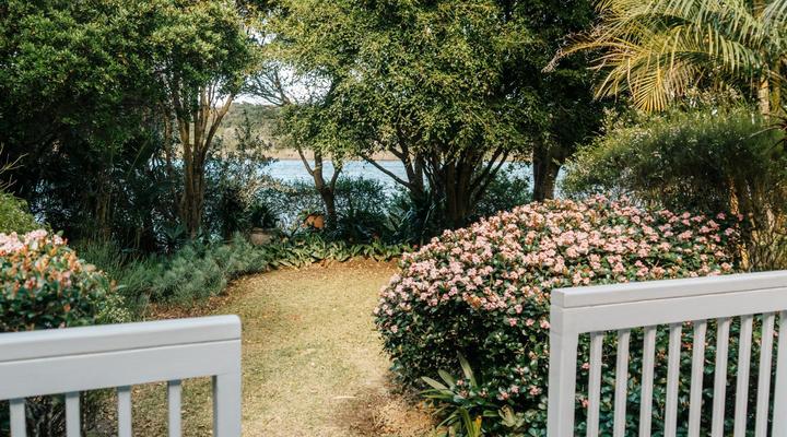 Serendipity Wilderness