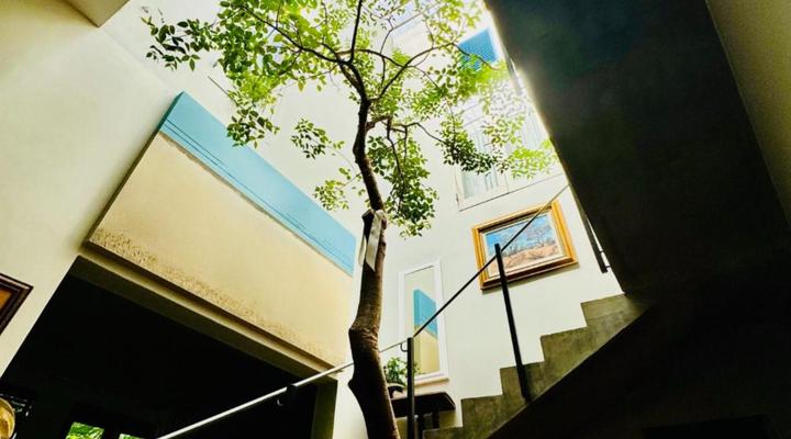 The Treehouse Mtunzini