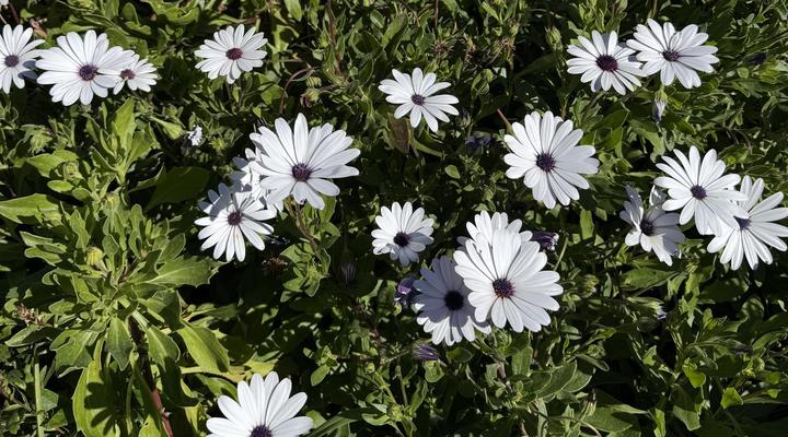 Rietjiesbos Self Catering