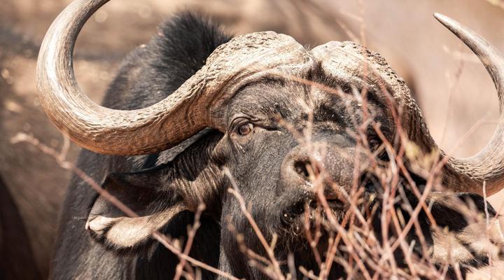 Frylinkspan Guestfarm and Venue