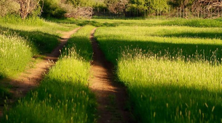 Frylinkspan Guestfarm and Venue