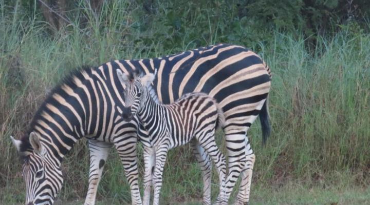 Hide Away Wedding,Conference & Function Venue