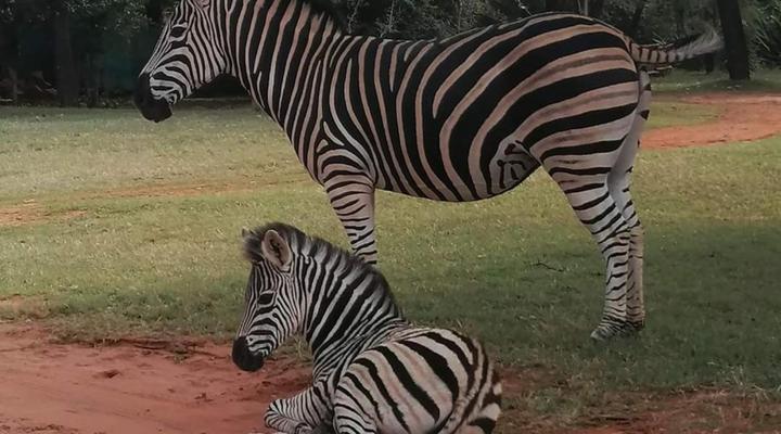 Hide Away Wedding,Conference & Function Venue