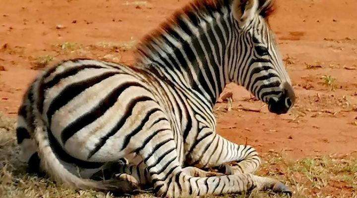 Hide Away Wedding,Conference & Function Venue