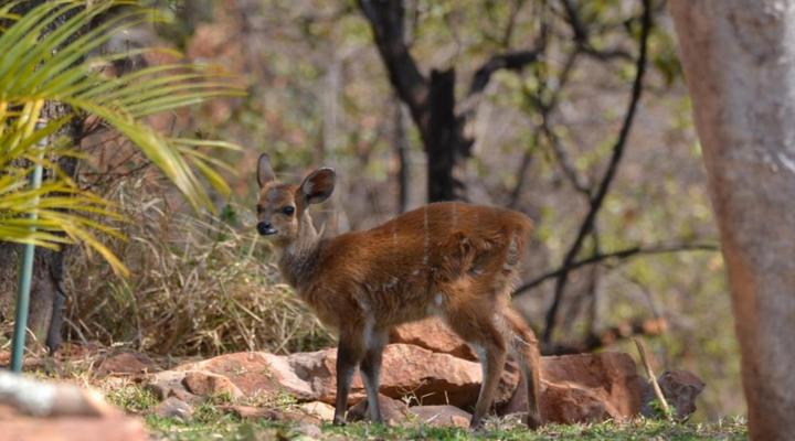 Hide Away Wedding,Conference & Function Venue