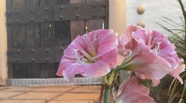 African Silhouette Guesthouse