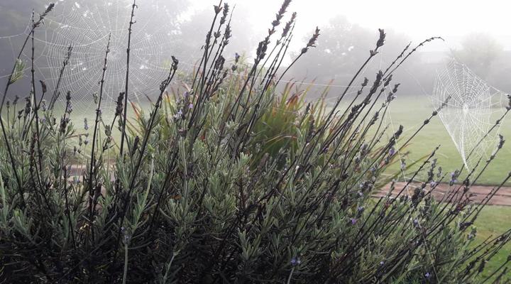 African Silhouette Guesthouse