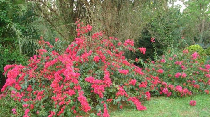 Taunton House Bed & Breakfast