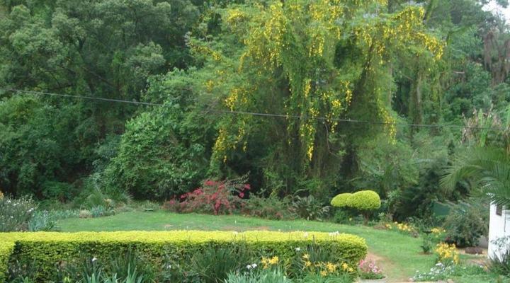 Taunton House Bed & Breakfast