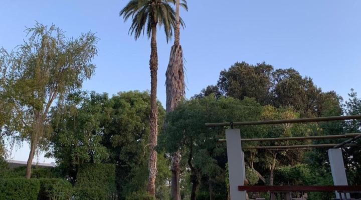 Rosedale Farm Bed and Breakfast